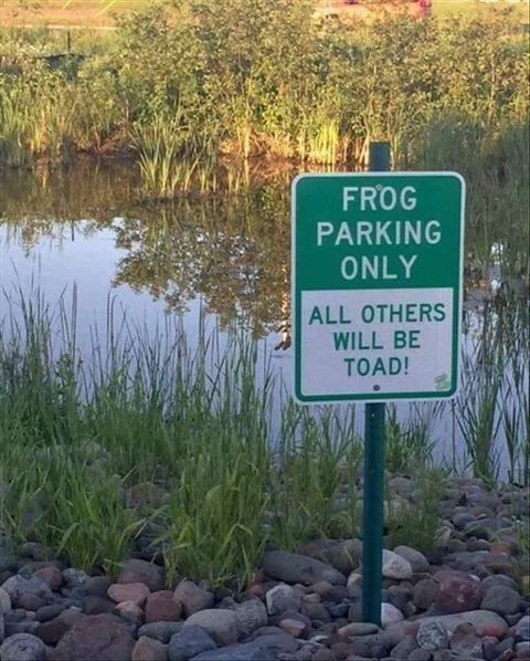 frogparking